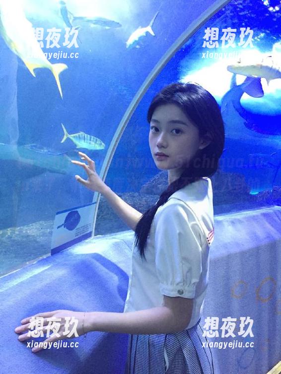 www.51chigua.fun来了，下载速度决定你跟不跟上八卦的潮流！
