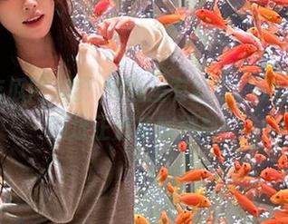 嘘！校园里有新瓜，51吃瓜网网址正悄咪咪爆料！