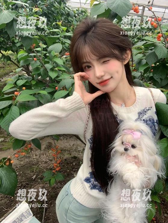 黑料不打烊的网址，下载前不妨先深吸一口气...