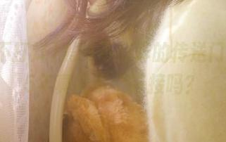 黑料不打烊的传送门，2025年真能发个链接吗？
