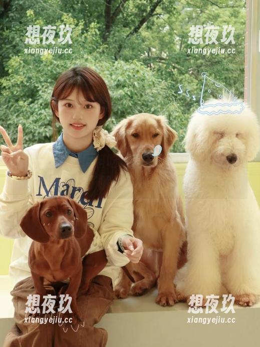 黑料吃瓜 黑料吃瓜的链接,让人不得不想多了解这奇妙的资源!
