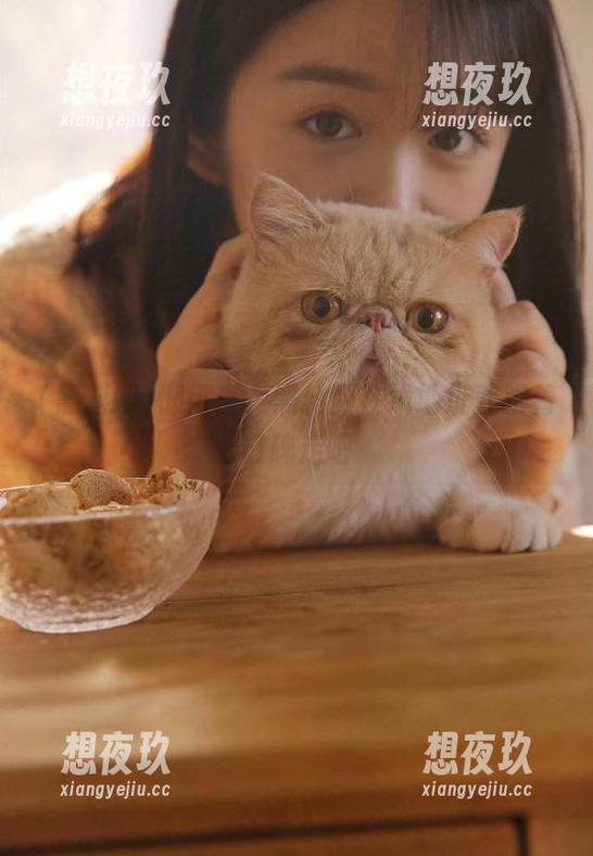 黑料网 懒得查,黑料网在线地址就跟着口碑走吧