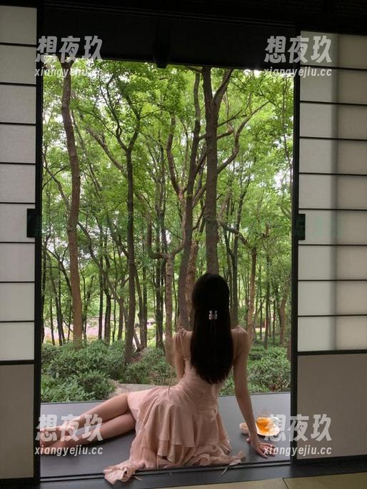 黑网料更新，安卓用户咋总是围着八卦转？